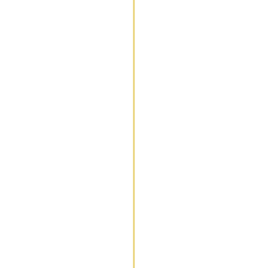 goldene linie senkrecht